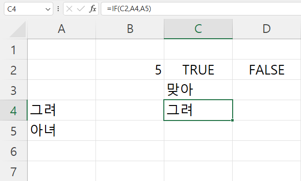 if 함수 인수 참조 결과