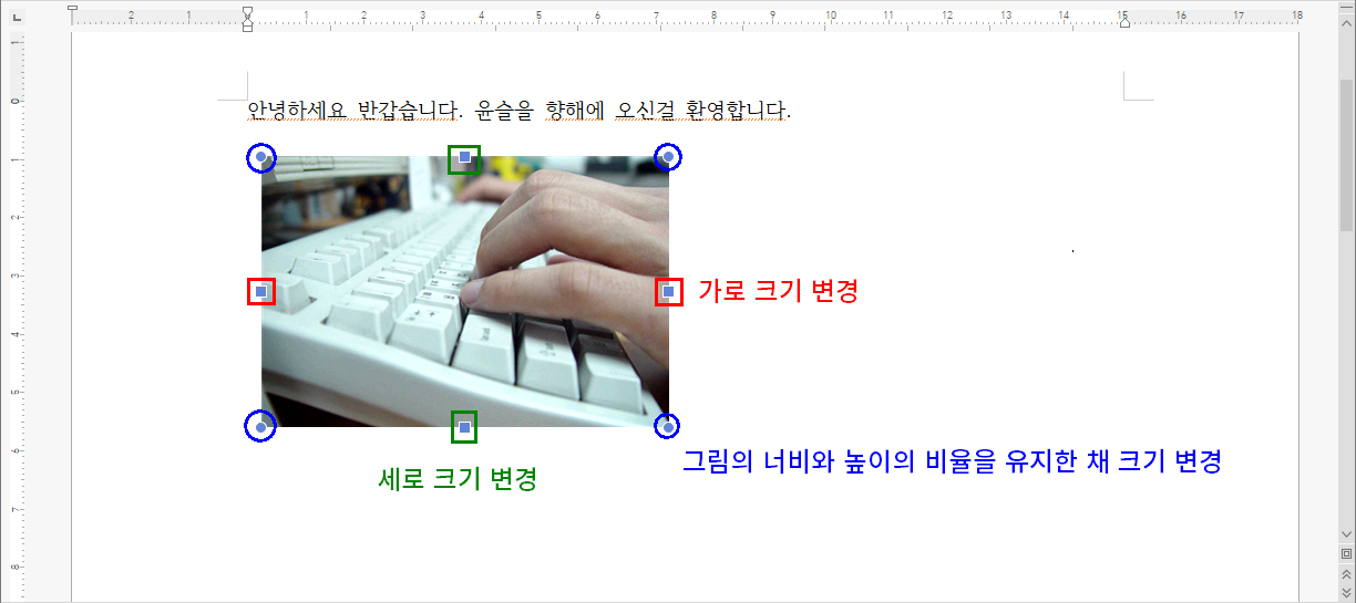 그림 크기 변경